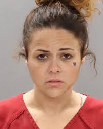 PATEL, JAYESHKUMAR M Charges: SEXUAL BATTERY/CONDITIONAL RELEASE ORDER  SEXUAL BATTERY This information and more is available at  https://sheriff.knoxcountytn.gov