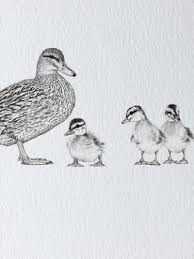 Greeting Card Ducks Drawing Etsy Drawings Duck Drawing Animal Sketches