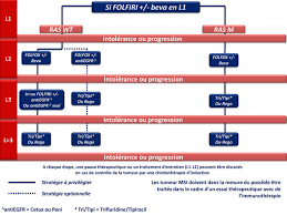 Les problemes a long terme. 4 Cancer Colorectal Metastatique Snfge Org Societe Savante Medicale Francaise D Hepato Gastroenterologie Et D Oncologie Digestive
