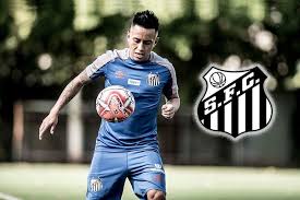 Последние твиты от santos brasil (@santosbrasil_). Brasil Archives Pagina 2 De 7 Diario Sin Fronteras