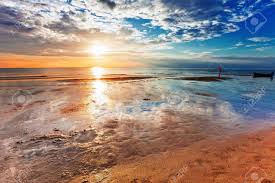 #wolf #smartphone #cellphone #screensaver #wallpaper #backgrounds #mobile #iphone #lockscreen #iphonewallpaper #androidwallpapershd #wallpaperbackgrounds. Nature Sunset Background Nosirix