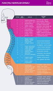 Durerile de spate au de multe ori cauze care pot fi eliminate, ele facand parte din obiceiurile zilnice ale oamenilor. Harta Bolilor Provenite De La Coloana Watermelon Health Benefits Health Tips Health