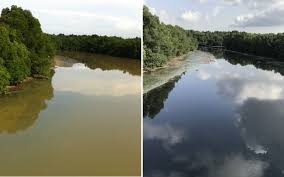 A wide range of pollution—from plastic pollution to light pollution—affects marine ecosystems. Sungai Kim Kim Pollution Started Years Ago Says Ecologist Free Malaysia Today Fmt
