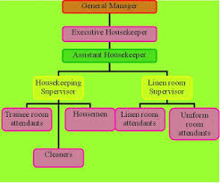 Housekeeping Organization Chart Of Housekeeping Department