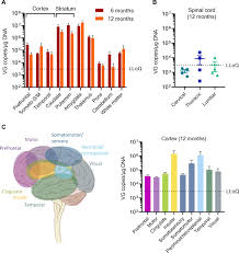 Doing business as:cook pest control inc creepy crawlers. Widespread And Sustained Target Engagement In Huntington S Disease Minipigs Upon Intrastriatal Microrna Based Gene Therapy Science Translational Medicine