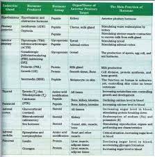 Image Result For Endocrine System Hormones Chart Endocrine