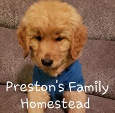 thanksgiving day was my favorite