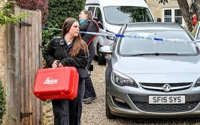 Image result for Helixanthera schizocalyx