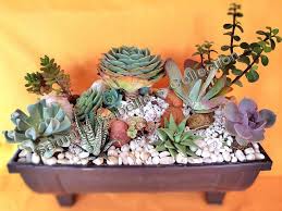 Mini succulent gardens are a fun, easy, and low maintenance way of developing a fairy garden. Pin On Samara Isabelle S Miniature Garden