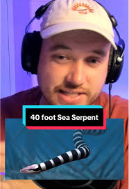 Rocky The Rock Snake