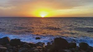 شيخة تذكرني المشارق كل يوم بأن الله لايبقي ظلاما