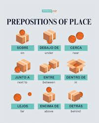 Place it right! Master Spanish prepositions of place with ease 📍📚 . . . .  . . . #spanishteacher #spanishexpressions #español #spanishclass  #spanishcourse #learnspanish #meme #duolingo #studyspanish #spanish  #spanishlanguage #english #educacion ...
