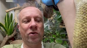 Highly recommend black tail cribos , the way they move and look has a  slight air of cobra about them , if cobras are your thing!