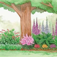 Full sun flower bulbs shade flower bulbs deer resistant flower bulbs rabbit resistant flower bulbs drought resistant flower bulbs flowers for cutting (bouquets) butterfly attracting flower bulbs container flower bulbs fragrant flower bulbs easy to grow flower bulbs naturalizing. Best Sellers Deer Resistant Shade Garden Deer Resistant Shade Plants Deer Resistant Plants Shade Perennials