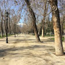 Image result for parque