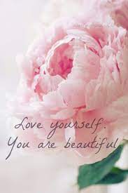 Pin By Ljiljana Dvojakova On Quotes Beautiful Flowers Pretty Flowers Pink Peonies