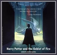 Harry Potter Harry Potter Harry Potter Series Harry Potter Books
