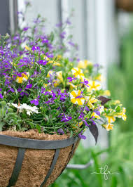 Ivy geranium, asters, dianthus, miniature roses, salvia and various spring bulbs are excellent perennial flower choices to plant in window boxes. 5 Easy Tips Tricks For Creating Your Spring Window Box Angie The Freckled Rose
