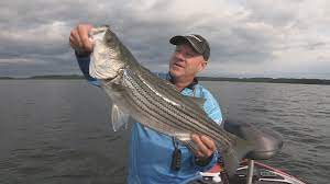 Here is some pics taken today. Fox Sports Outdoors Southwest 14 2016 Lake Ouachita Arkansas Striper Walleye Fishing Youtube