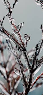 Chritmas and winter wallpaper : The Beginning Of Winter Wallpapers For Iphone