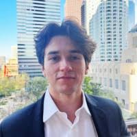 300+ "Schmitzer" profiles