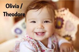 DNR EagleCam Pair Getting Their Nest Ready for Eggs