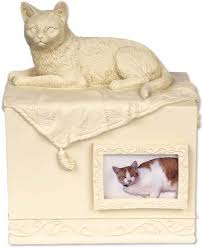 Deze Kattenurn Is Rechthoekig Op De Urn Ligt Een Prachtig Gemodeleerde Kat En Aan De Voorkant Is Een Fotolijstje Bevestigd Waa Urne Huisdier Aandenken Katten