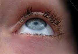 Check spelling or type a new query. Como Recuperar Pestanas Danadas Por Extensiones Saber Como Cuidarse Sin Mitos Ni Obsesiones