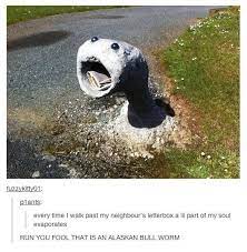 Alaskan Bull Worm Funny Pictures Funny Funny Memes