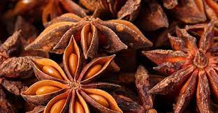 فوائد عشبة نجمة الأرض ما هي عشبة نجمة الأرض؟ من الأعشاب التي تنبت في الأرض ولها العديد من الفوائد الصحية، ما يعرف باسم عشبة نجمة الأرض، أو اليانسون النجمي والتي لها. Ù†Ø¨ØªØ© Ù†Ø¬Ù…Ø© Ø§Ù„Ø£Ø±Ø¶ Ø§Ùˆ Ø§Ù„ÙŠØ§Ù†Ø³ÙˆÙ† Ù…Ø¹Ø´Ø¨Ø© Ùˆ ØªÙˆØ§Ø¨Ù„ Ø§Ù„Ø²Ù‡Ø±Ø© Facebook