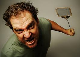 170+ Fotos, Bilder und lizenzfreie Bilder zu Mann Fliegenklatsche