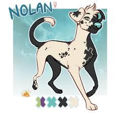 Nolan By Rainboestarz Deviantart Com On Deviantart Dog Design Art Cute Animal Drawings Puppy Art