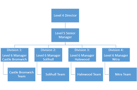 Organisational Structure Review Of Jaguar Land Rover