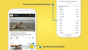 ¿quieres descargar música de youtube como mp3 o mp4? Convertidor De Youtube A Mp3 5 Favoritos De 2020