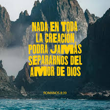 Romanos 8 35 39 Quien Nos Separara Del Amor De Cristo Tribulacion O Angustia O Persecucion O Hambre O Desnudez O Peligro O Espada Como Esta Escrito Por Causa De Ti Somos Muertos Todo