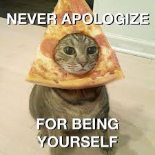 Inspirational Cat Picture Of The Day The Adventures Of Accordion Guy In The 21st Century