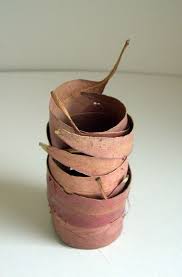 Eucalyptus Leaf Vessel Leaf Art Eucalyptus Leaves Eucalyptus
