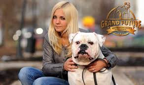 The american bulldog originated in the united. Champion American Bulldog Puppies Grand Future Kennel