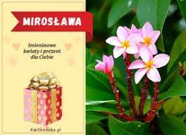 Mirosław to imię staropolskie, dwuczłonowe. Imieniny Miroslawy Darmowe Kartki Dla Miroslawy Zyczenia I Kartki Za Darmo
