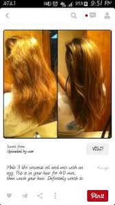 Put the mixture into a spray bottle and mist onto the hair. Best Homemade Hair Mask For Dry Damaged Hair Hair Masks For Dry Damaged Hair Hair Mask For Damaged Hair Homemade Hair Mask