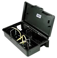 When choosing mouse traps, make sure that it is easy to set up. Ez Snap Mouse Trap Station Philadelphia Bed Bug Exterminator Prodigy Pest Solutions