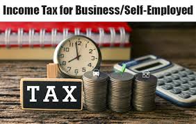 Because gst paid on the purchase of. Income Tax For Self Employed Or Businessman Laws Rates And Filing
