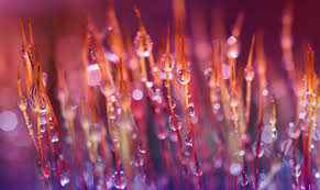 Join facebook to connect with christine arana fader and others you may know. Christine Arana Fader Herzlich Willkommen