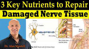 3 Key Nutrients To Repair Damaged Nerve Tissue Pinched Nerve Neuropathy Dr Alan Mandell Dc Youtube Pinched Nerve Vitamins For Nerves Neuropathy