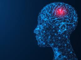 Esquistossomose pode afetar medula e causar sintomas neurológicos; entenda