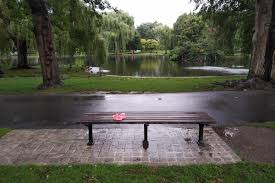 Bostontweet On Twitter Today Is The 4 Year Anniversary Of Robin Williams Death Stopped By The Good Will Hunting Bench And There S Some Flowers There Nina Corcoran Https T Co A2owlbda0n Https T Co Qxkrfqmzuv