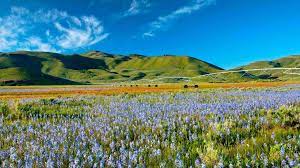 Maybe you would like to learn more about one of these? 25 Amazing Day Trips From Twin Falls Idaho You Should Check Out