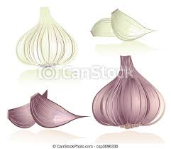 Mit wiederverschliessbarem und luftdichtem deckel ; Knoblauch Duft Illustrationen Und Clip Art 1 299 Knoblauch Duft Lizenzfreie Illustrationen Und Zeichnungen Von Tausenden Designern Von Stock Vektor Eps Clip Art Grafiken Zur Auswahl