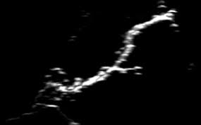 «i morti, nella poesia di pascoli, non sono mai delle presenze paurose, persecutorie, ma anzi, le uniche sono, le. Https Www Jneurosci Org Content Jneuro 33 18 7641 Full Pdf