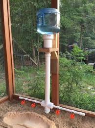 Adapatoare Gaini Pvc Chicken Waterer Chicken Waterer Chickens Backyard